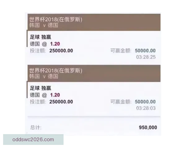 围绕世界杯买球平台打造安全便捷高效体育投注新体验指南